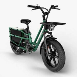 Fiido T2 E-bike Cargo Longtail Bicicleta Eléctrica